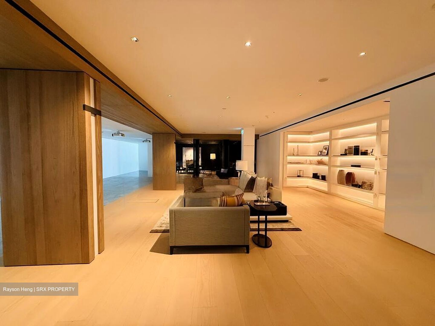 21 Anderson (D10), Condominium #454994721